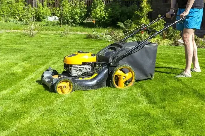 Affordable Lawn Mowing in Murrieta, CA