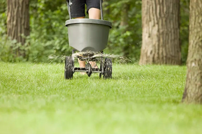 Dependable Lawn Fertilization in Murrieta, CA