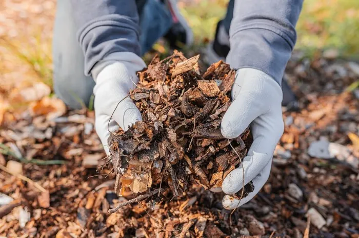 Dependable Mulching in Murrieta, CA