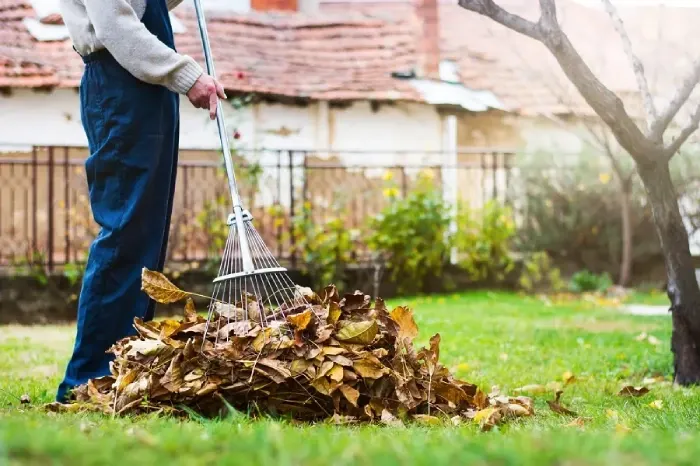 Detailed Yard Cleanup in Murrieta, CA