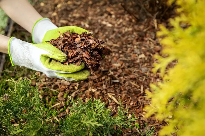 Excellent Mulching in Murrieta, CA