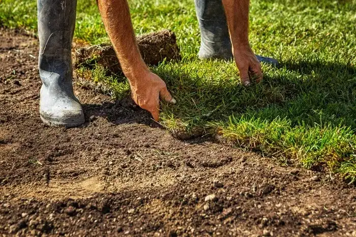 Excellent Sod Installation in Murrieta, CA