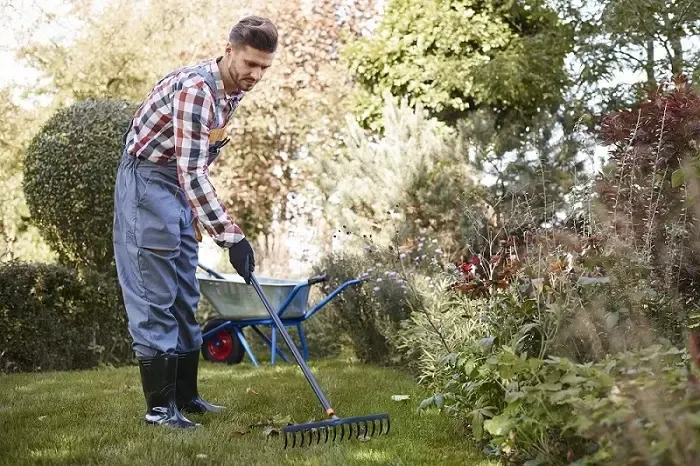 Exceptional Yard Cleanup in Murrieta, CA