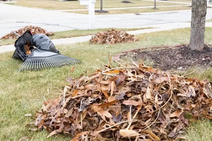 High-quality Yard Cleanup in Murrieta, CA