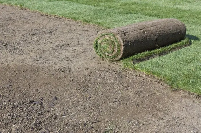 How long after installing sod can you walk on it Murrieta, CA