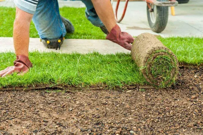 How long after installing sod can you walk on it in Murrieta, CA