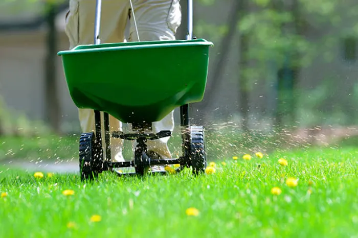 How often should you fertilize your lawn in Murrieta, CA