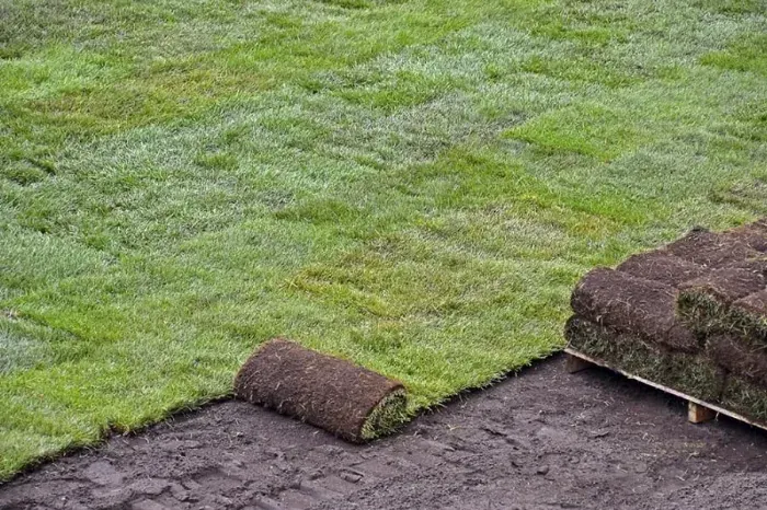 How to lay sod over existing lawn Murrieta, CA