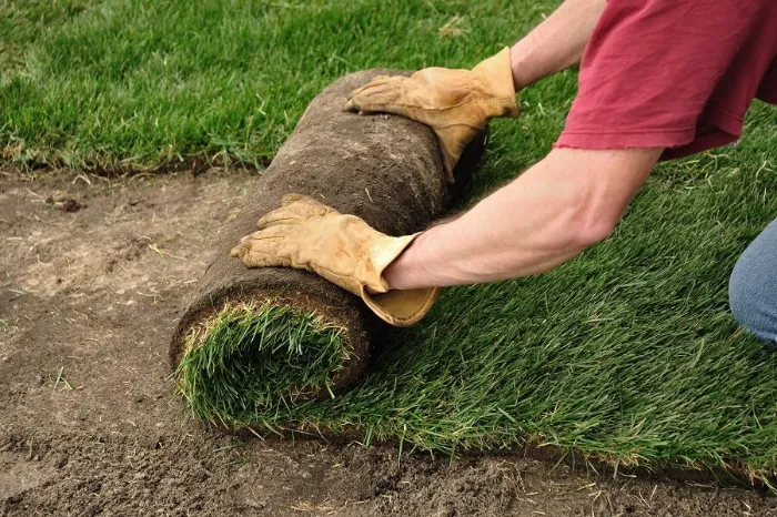 Proficient Sod Installation in Murrieta, CA