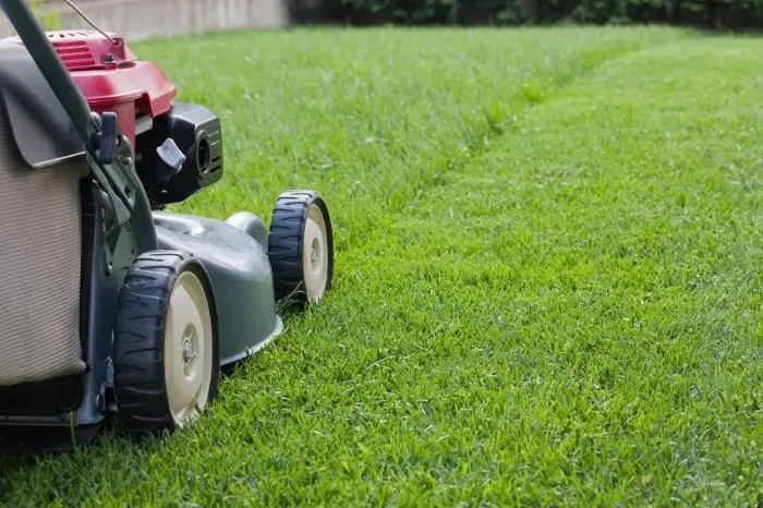 Reliable Lawn Mowing in Murrieta, CA