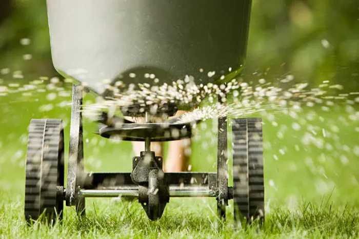 Top-notch Lawn Fertilization in Murrieta, CA