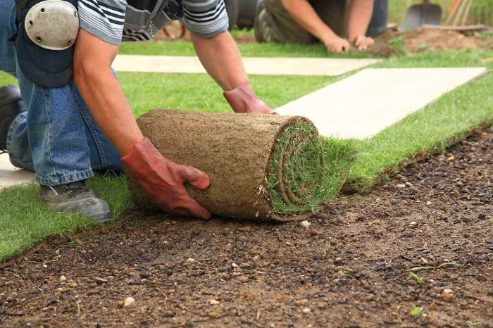 Trusted Sod Installation in Murrieta, CA