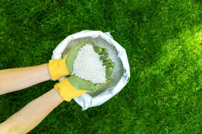 When is the best time to fertilize your lawn Murrieta, CA