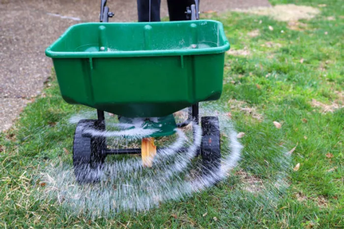 When is the best time to fertilize your lawn in Murrieta, CA